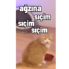 Pikaçu sarıgöt 6