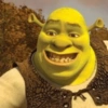 Shrek 💚 14
