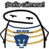 🐯Pumas 🐯⚽ 17