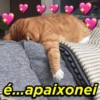 é...apaixonei