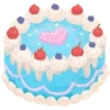 Cake  24