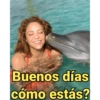 Shakira 28