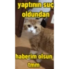 Pikaçu sarıgöt 9
