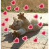 Amor ao sol