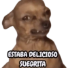 STICKERS PERROS SIN CONTEXTO🐶 12