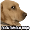 STICKERS PERROS SIN CONTEXTO🐶 6