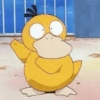 Momento de Psyduck🦆😎✨ 5