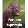 Q miras prro? 7
