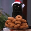 Gatitos cura Depresión🎄 7