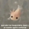 que calor tan insoportable, igual q yo cuando agarro confianza