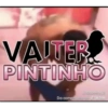 Minhas figurinhas 27