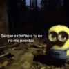 Se que extrañas a tu ex no me mientas