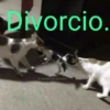Divorcio.
@memes.de.mierdaa