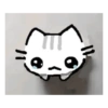 Gatito 😺 9