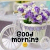 Good morning