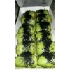 Matcha  8