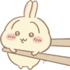 Usagi  13
