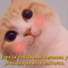 Eres la cosita mas hermosa y
presiosa de este universo.