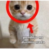 pendejo no
durmió nada