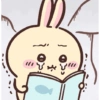 Usagi  28