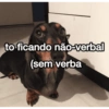 MEMES DE HUMOR DUVIDOSO 5