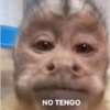 NO TENGO