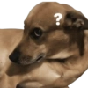 STICKERS PERROS SIN CONTEXTO🐶 7