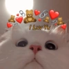 I Luv Yu