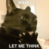 WAIT.. LET ME THINK