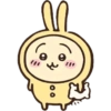 Usagi  17