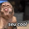 Macaquinhos reagindo🐒👇 5