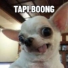 TAPI BOONG