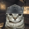 Gatos muy Random🐈‍⬛😹😺 11