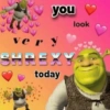 Shrek 💚 8