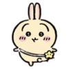 Usagi 21