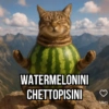 WATERMELONINI CHETTOPISINI ♡ Likes