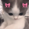 🎀🐱 Los gatitos 🐱🎀 21