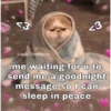 53 23 @wh.lesome me waiting for u to send me a goodnight message so I can sleep in peace