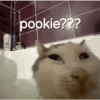 pookie???
