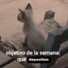 objetivo de la semana: que depositen