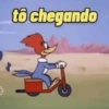 Meme pica pau 9