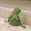 Ranita RENÉ! 🐸 2