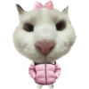 Kucing icon meme 8