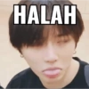 HALAH