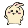 Usagi 23