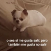 Mario Munoz o sea sí me gusta salir, pero también me gusta no salir