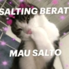 MEME SALTING 8