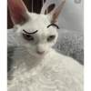 1/6