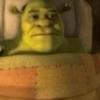 Shrek 💚 20