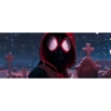 Spiderman 17